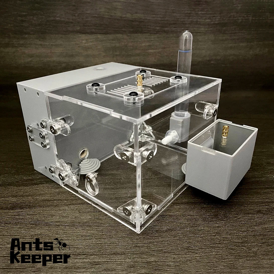 Living Habitat Ant Farm