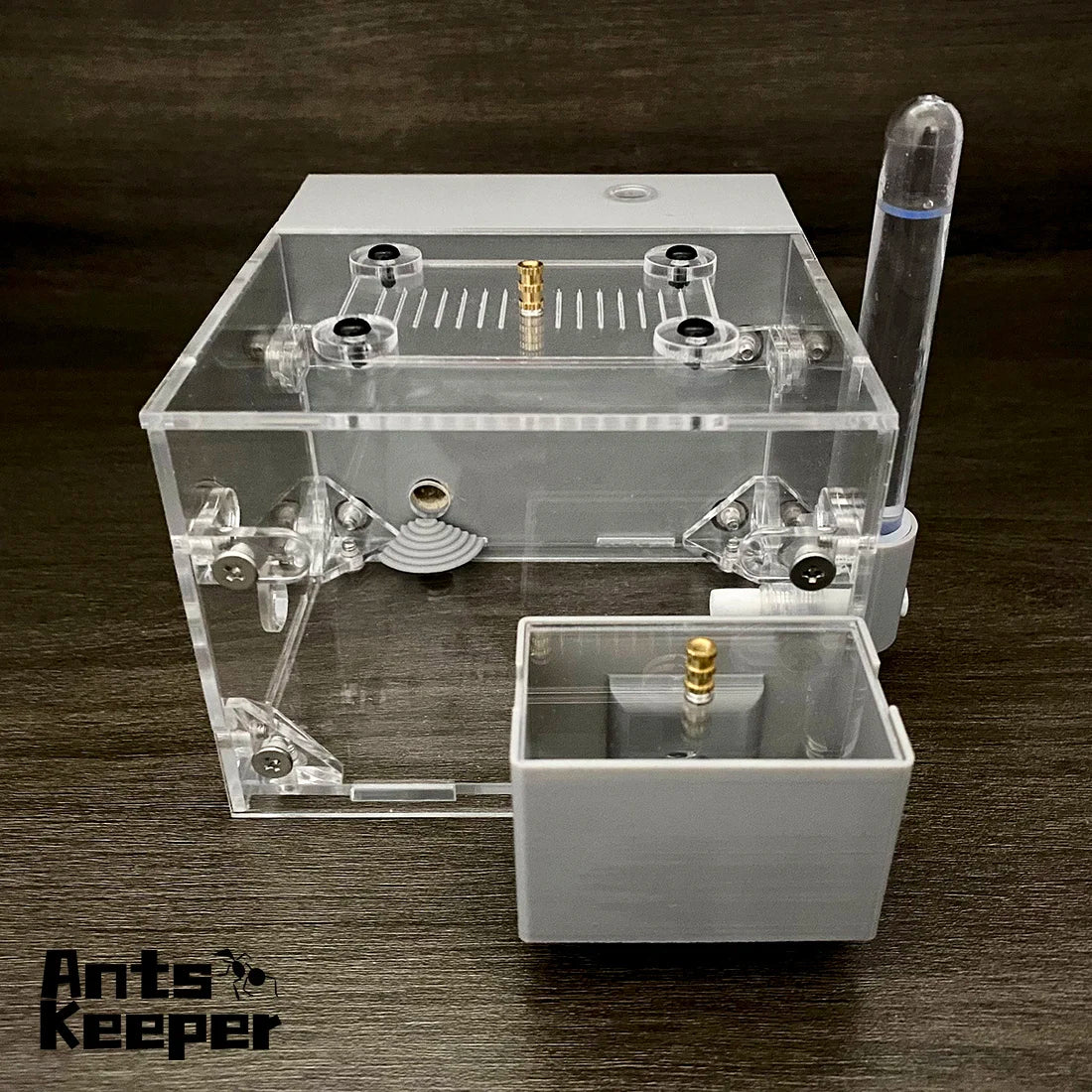 Living Habitat Ant Farm