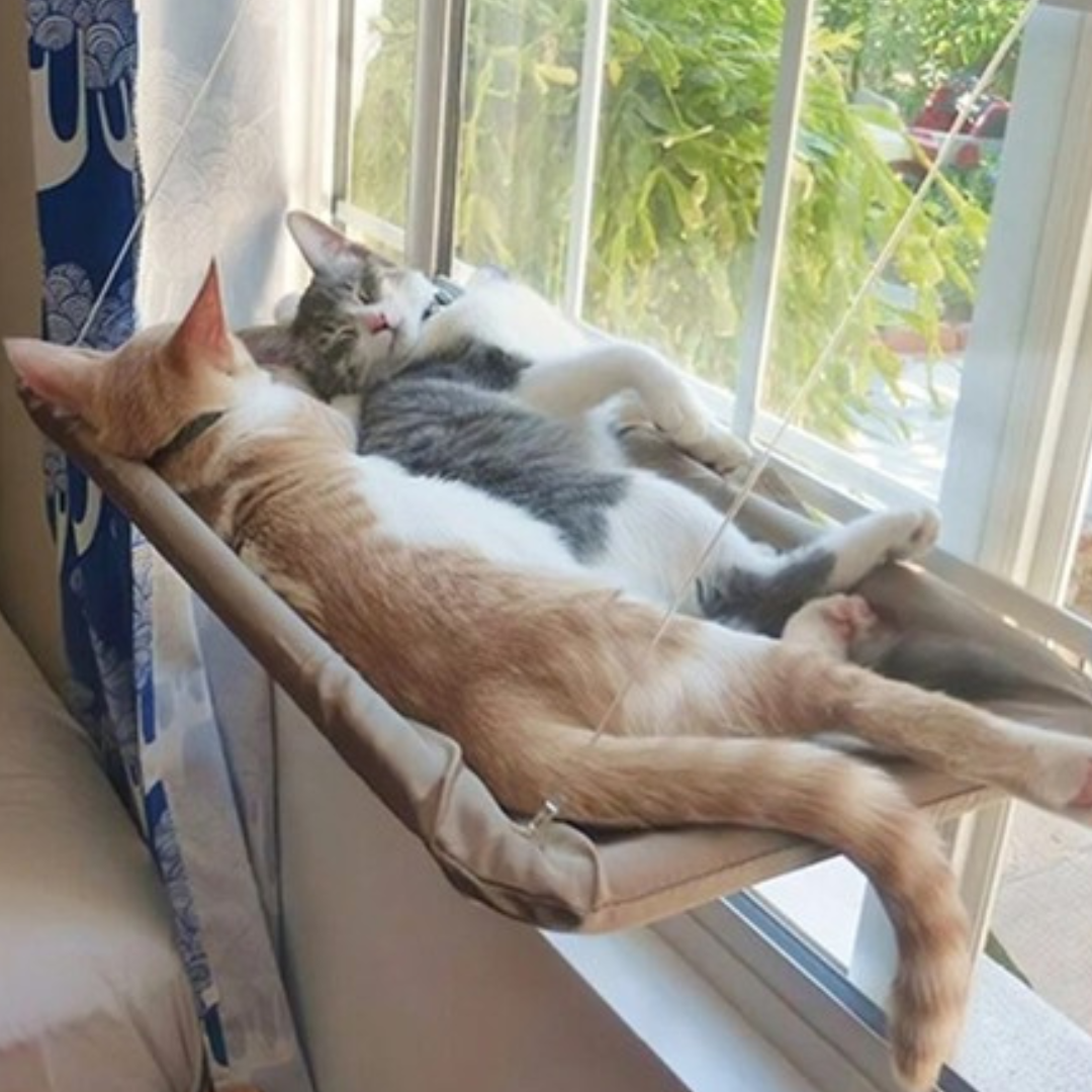 Suspended Pet Cat Hanging Hammock